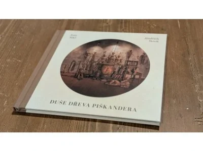 Dusˇe drˇeva Pisˇkandera