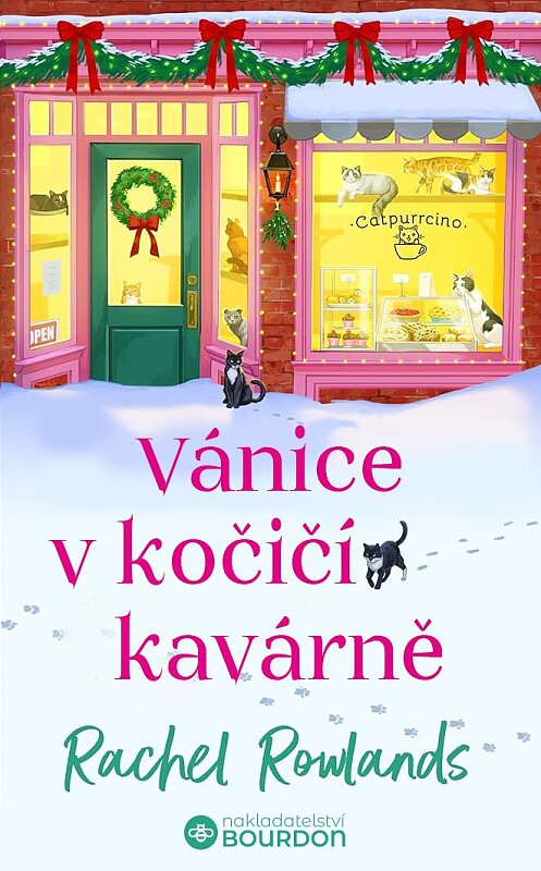 Vánice v kočičí kavárně