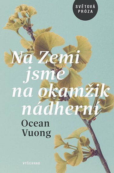 Na Zemi jsme na okamžik krásní
