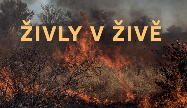 Výstava časopisu ŽIVA: Voda, oheň, vítr