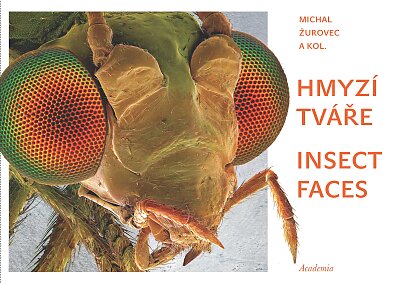 Insect Faces