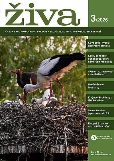 Živa 3/2026