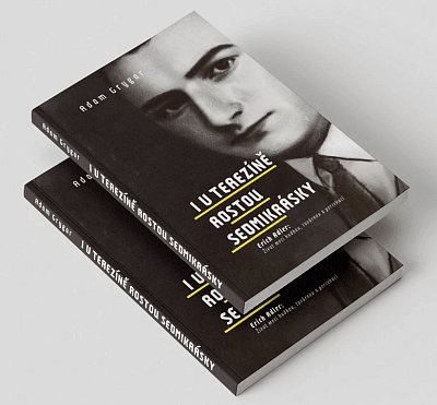 I v Terezíně rostou sedmikrásky