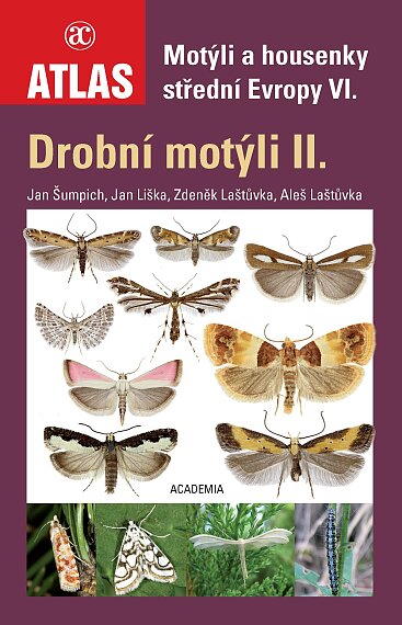 Moths and Caterpillars of Central Europe. VI., Small Moths II.