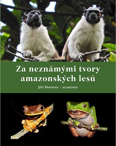 In Search of the Unknown Creatures of the Amazon Forest