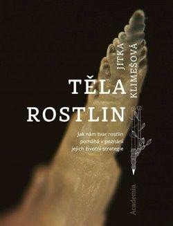 Těla rostlin. Jak nám tvar rostlin pomáhá v poznání jejich životní strategie
