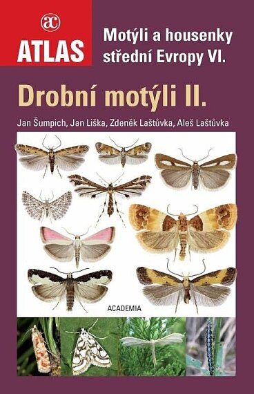 Motýli a housenky střední Evropy VI. Drobní motýli II.