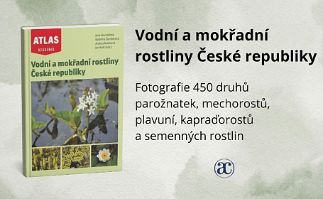 Vodní a mokřadní rostliny České republiky