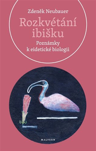 Rozkvétání ibišku Poznámky k eidetické biologii