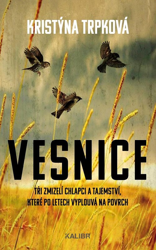 Vesnice (Laura Linhartová 2)