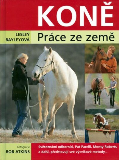 Koně. Práce ze země