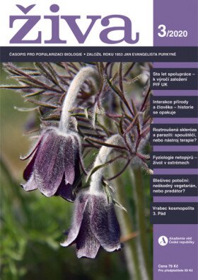 Živa 3/2020