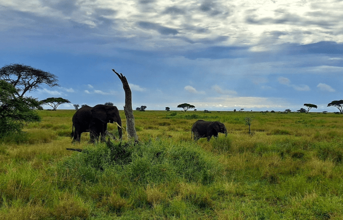 Výstava fotografií Mariana Vágnera a Emila Franče Afrika tam a tady
