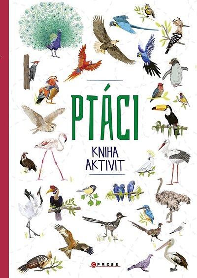 Ptáci kniha aktivit