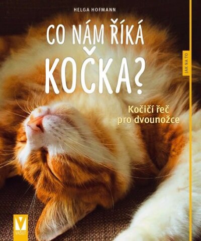 Co nám říká kočka? Jak na to