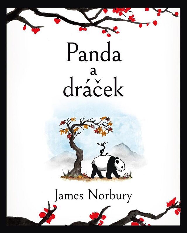 Panda a dráčik
