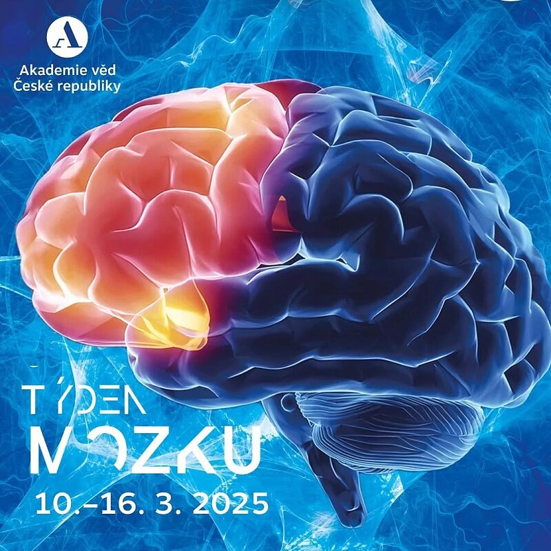 Navštivte festival Týden mozku