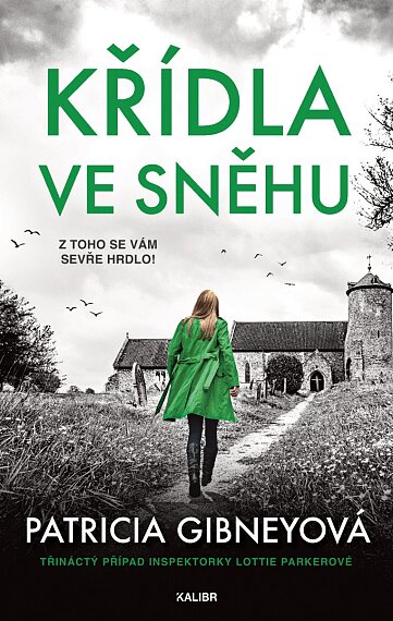 Křídla ve sněhu (Lottie Parkerová 13)