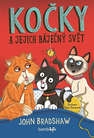 Kočky a jejich báječný