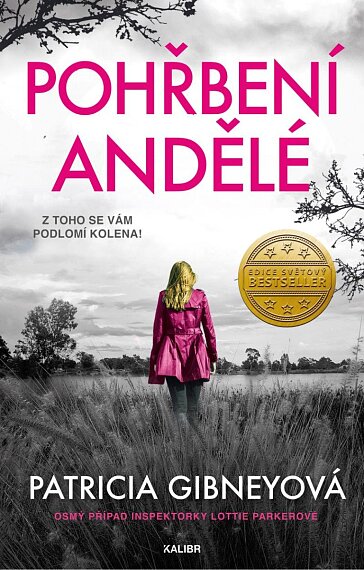 Pohřbení andělé (Lottie Parkerová 8)