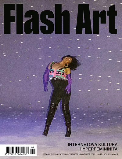 Flas Art 77/2025