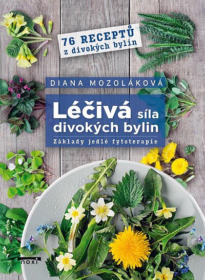 Léčivá síla divokých byllin - Základy jedlé fytoterapie
